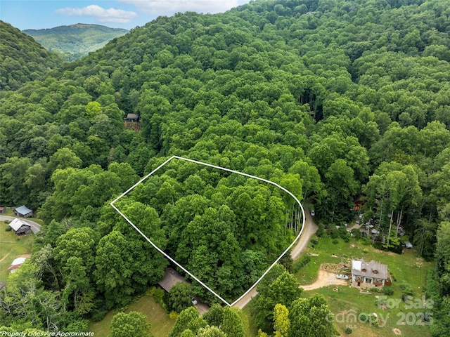 4 Roaring Creek Ln, Waynesville, NC 28785 - photo 6