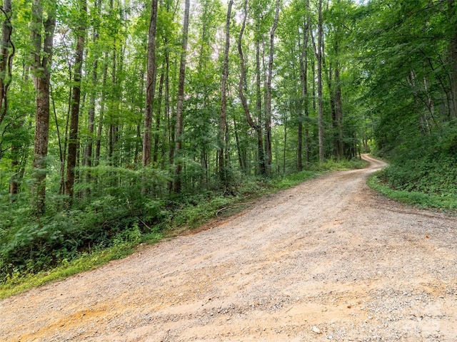4 Roaring Creek Ln, Waynesville, NC 28785 - photo 8