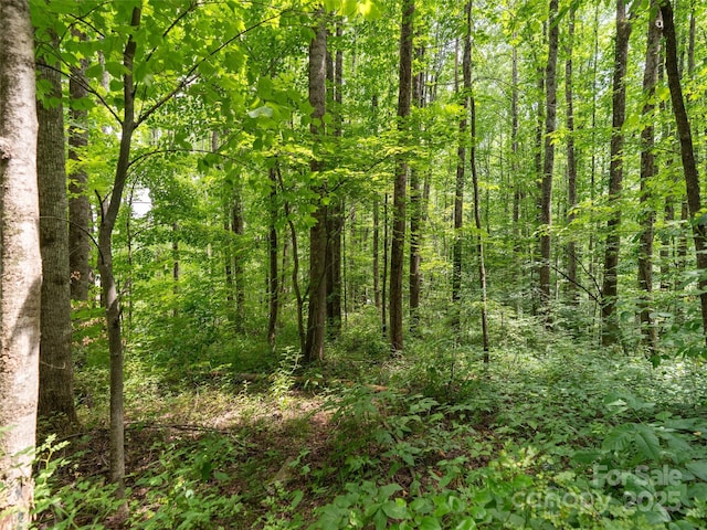 4 Roaring Creek Ln, Waynesville, NC 28785 - photo 10