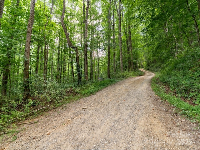 4 Roaring Creek Ln, Waynesville, NC 28785 - photo 15