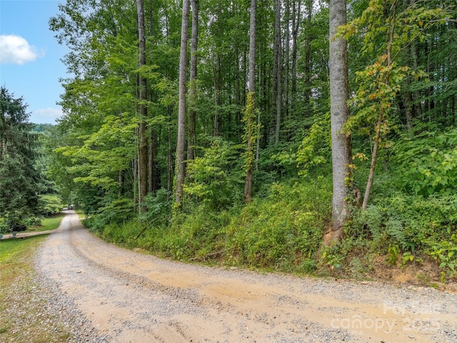 4 Roaring Creek Ln, Waynesville, NC 28785 - photo 16