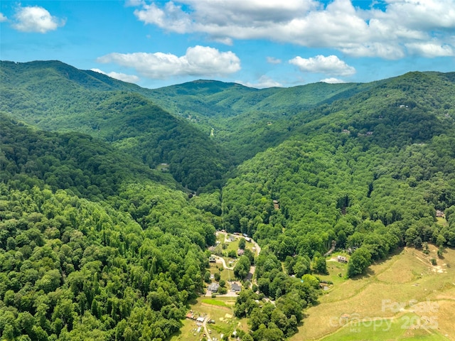 4 Roaring Creek Ln, Waynesville, NC 28785 - photo 1