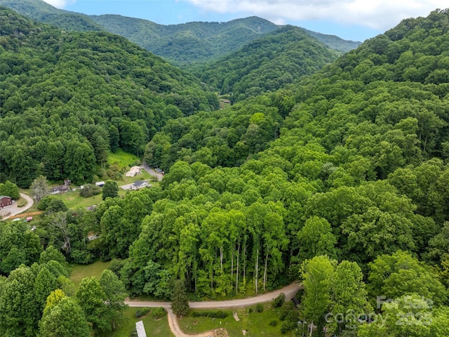4 Roaring Creek Ln, Waynesville, NC 28785 - photo 2