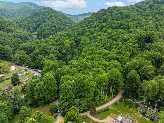 4 Roaring Creek Ln, Waynesville, NC 28785 - photo 3
