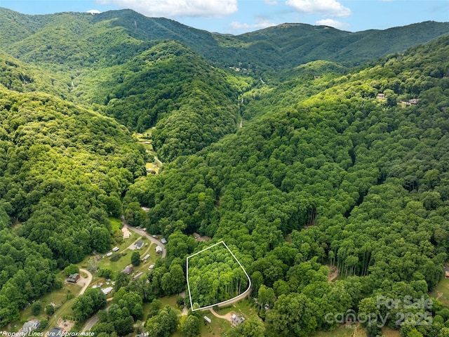 4 Roaring Creek Ln, Waynesville, NC 28785 - photo 4