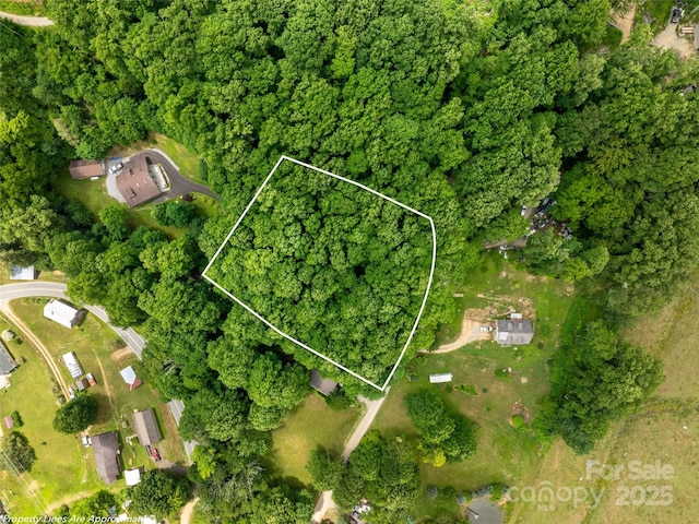 4 Roaring Creek Ln, Waynesville, NC 28785 - photo 5