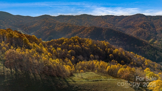 view of mountain feature