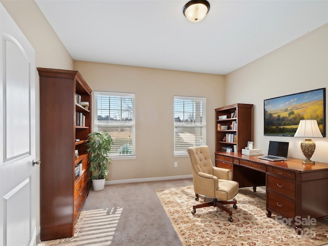 view of carpeted office space