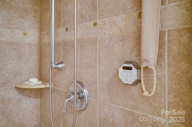 interior details featuring tiled shower