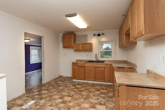 kitchen featuring crown molding and sink