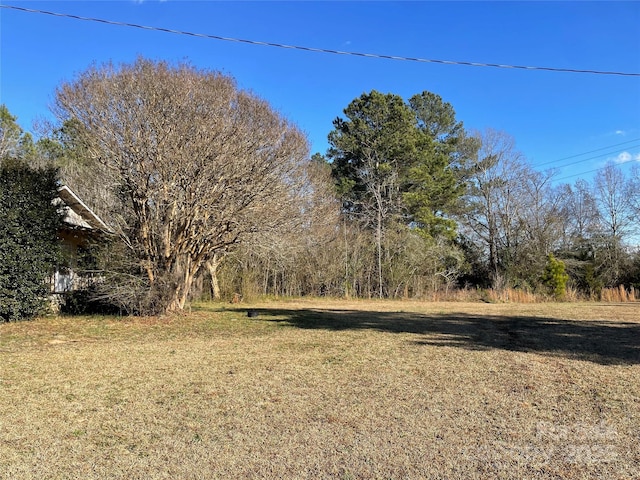 32 Tell Davidson Rd, Chesterfield, SC 29709 - photo 21