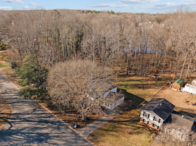 bird's eye view