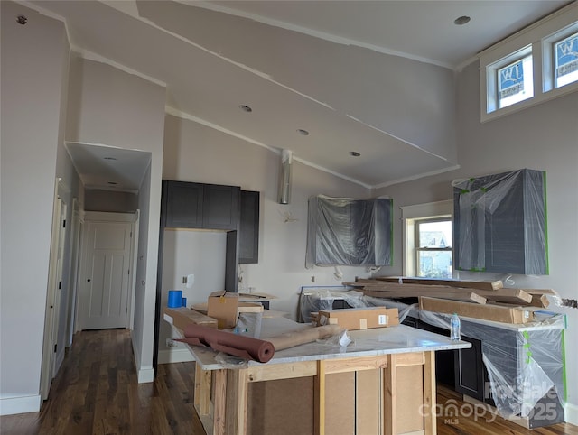 kitchen featuring high vaulted ceiling, dark wood-type flooring, plenty of natural light, and ornamental molding