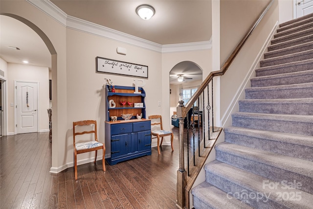 foyer entrance with crown molding, ceiling fan, and dark wood-type flooring