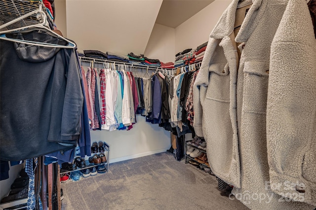 spacious closet featuring carpet flooring