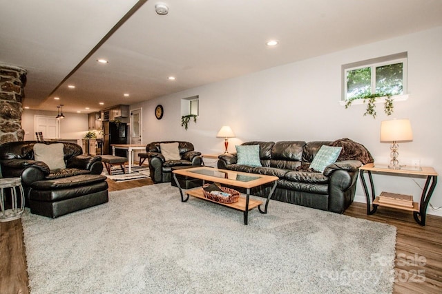 living room featuring hardwood / wood-style flooring