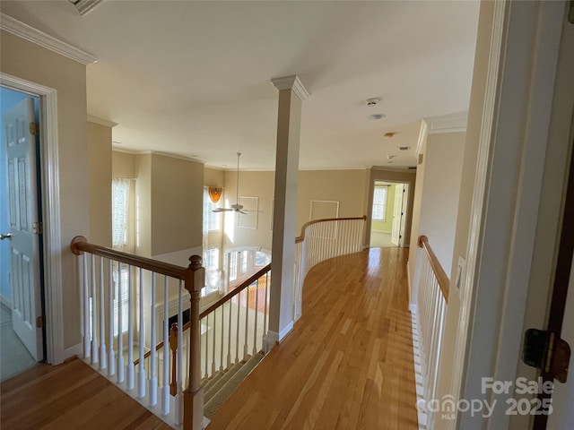 hall with light hardwood / wood-style floors and crown molding