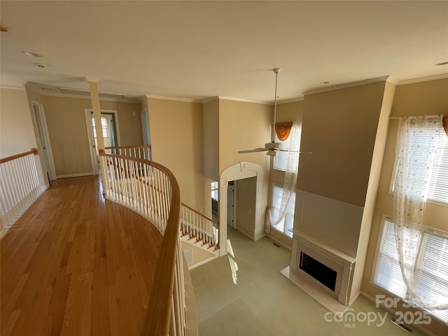 corridor with ornamental molding and a wealth of natural light