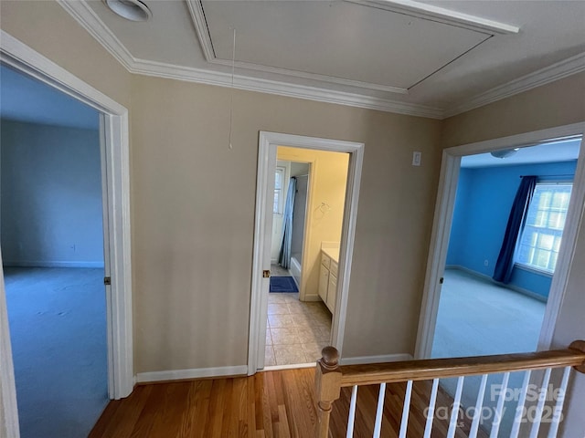 hall with light wood-type flooring and crown molding