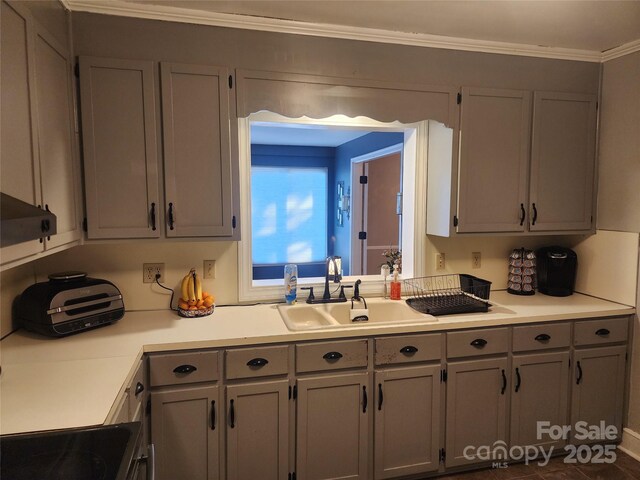 kitchen featuring gray cabinetry, stove, ornamental molding, and sink