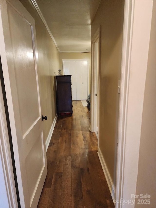 hall featuring dark hardwood / wood-style flooring and ornamental molding