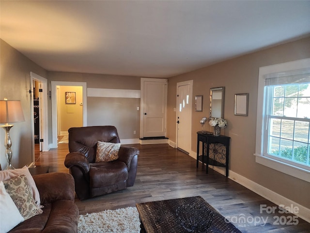 living room featuring dark wood-type flooring