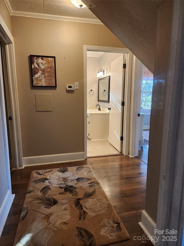 corridor featuring crown molding, sink, and dark hardwood / wood-style floors