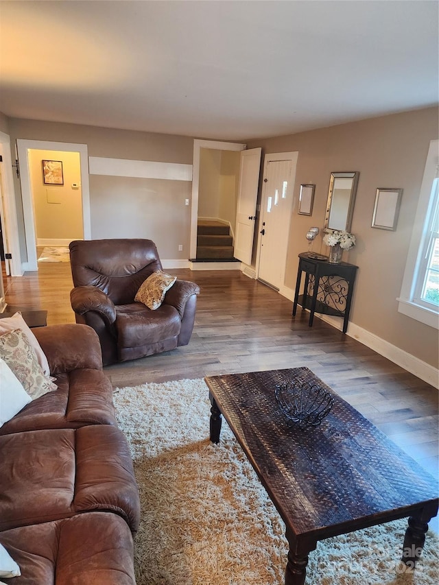 living room featuring hardwood / wood-style floors