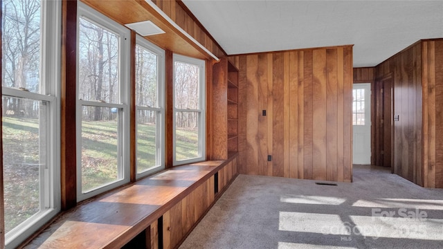 unfurnished sunroom featuring a wealth of natural light