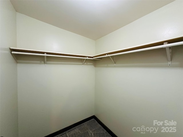 walk in closet with carpet floors