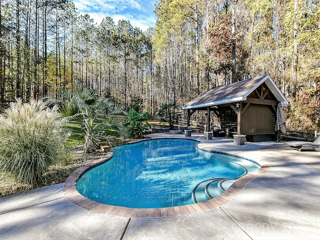 view of pool featuring a patio