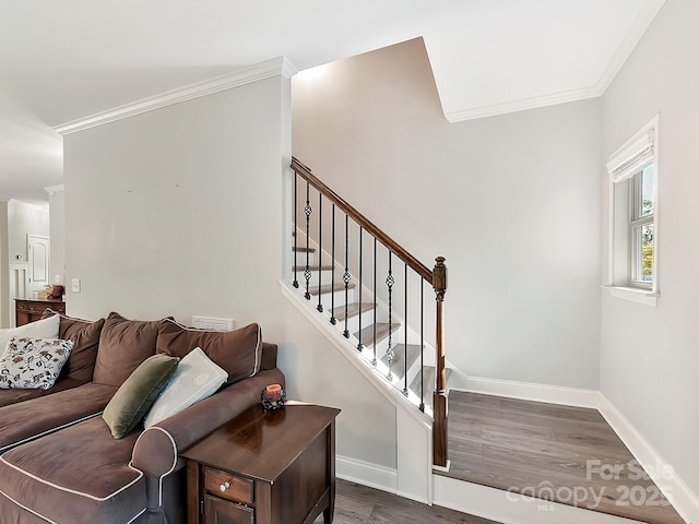 living room featuring crown molding and dark wood-type flooring