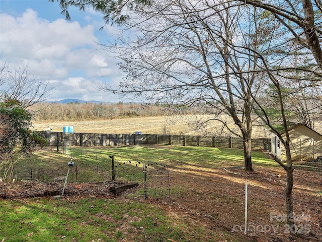 view of yard with a rural view