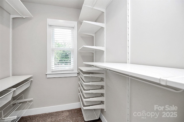 spacious closet featuring dark carpet