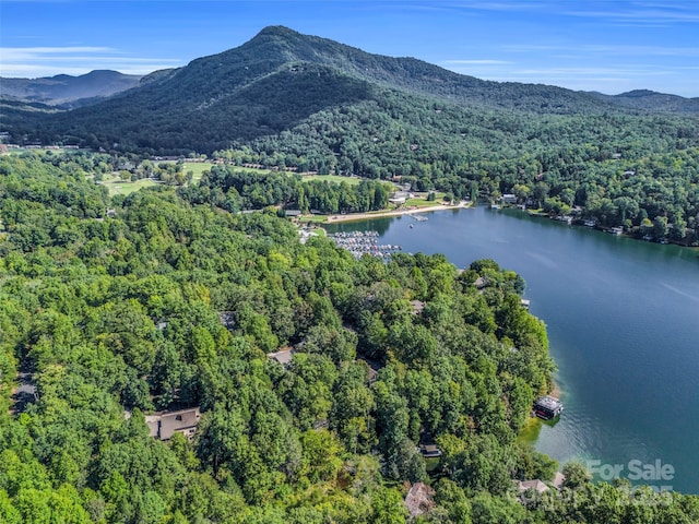 birds eye view of property featuring a water and mountain view