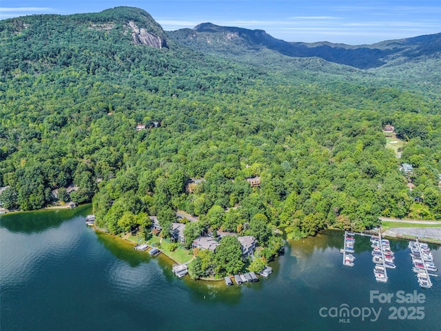 bird's eye view with a water and mountain view