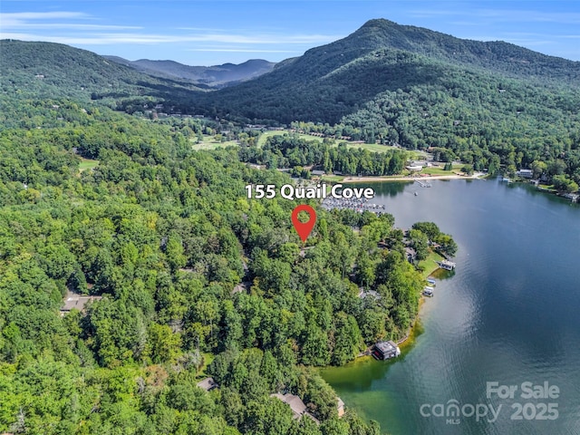 birds eye view of property featuring a water and mountain view