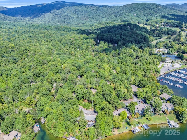 birds eye view of property featuring a water and mountain view