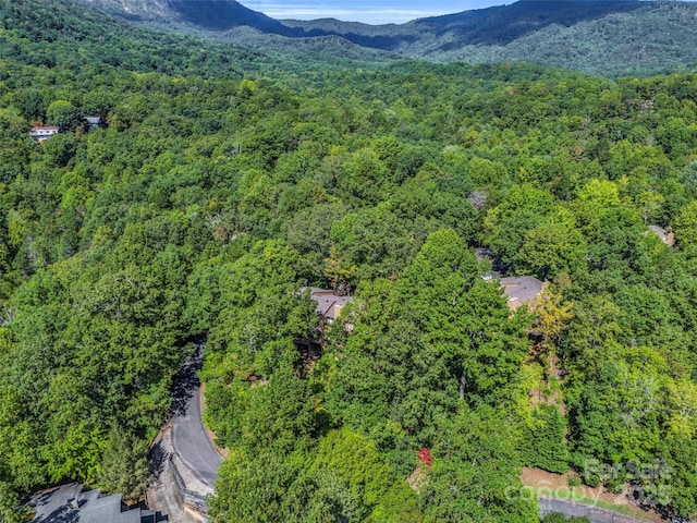 bird's eye view featuring a mountain view