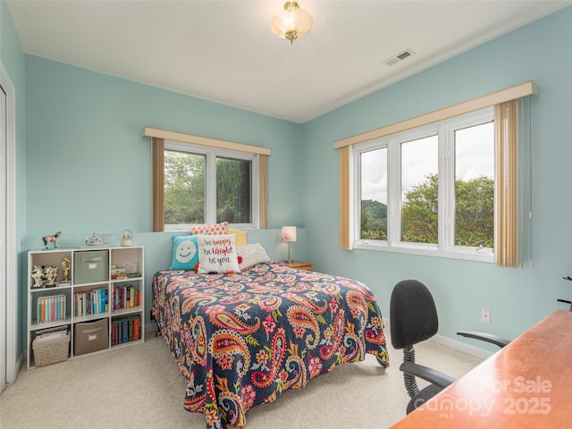 carpeted bedroom with multiple windows