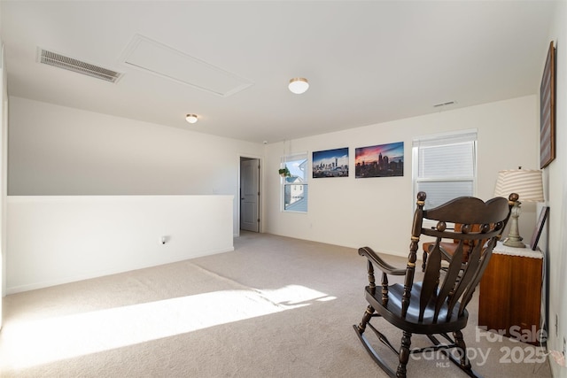 living area featuring carpet