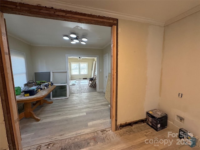 hall featuring ornamental molding and light hardwood / wood-style flooring