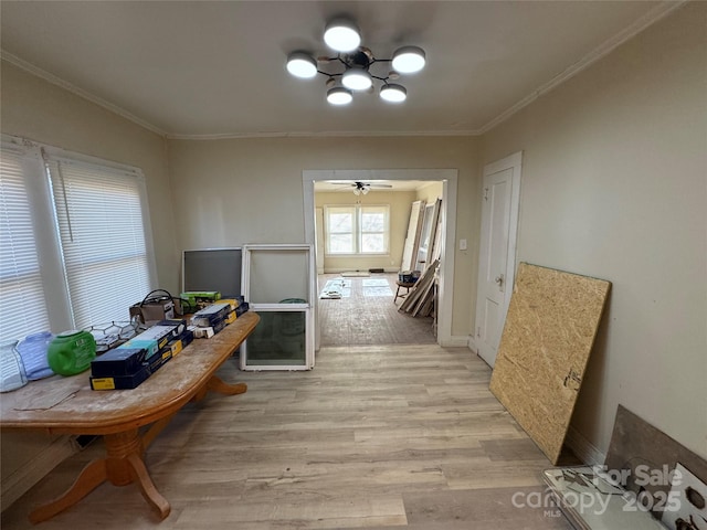 interior space featuring ceiling fan, ornamental molding, and light hardwood / wood-style flooring