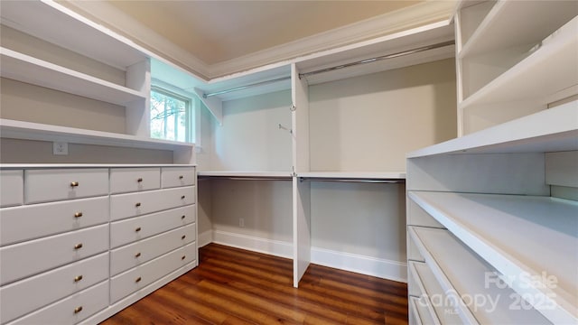 walk in closet featuring dark wood-type flooring