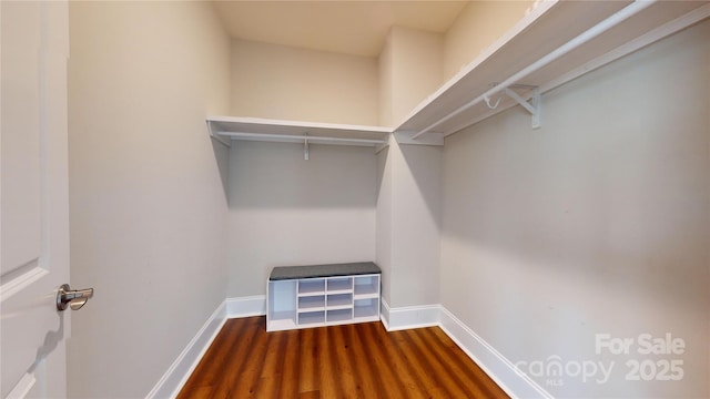 spacious closet with dark wood-type flooring