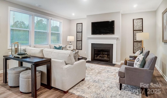 living room with hardwood / wood-style flooring