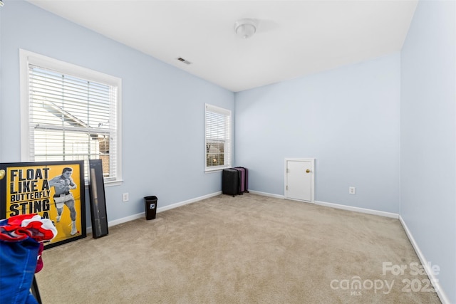 empty room featuring a wealth of natural light and light carpet