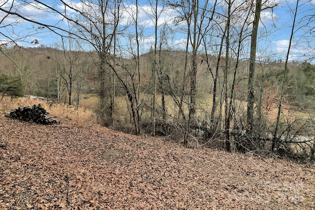 view of local wilderness