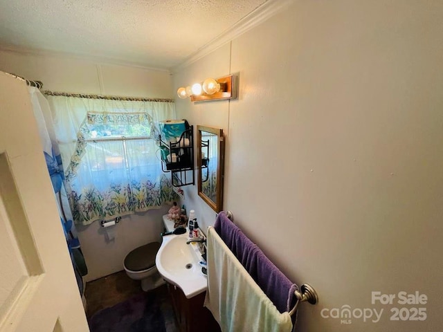 bathroom with vanity, a textured ceiling, toilet, and crown molding