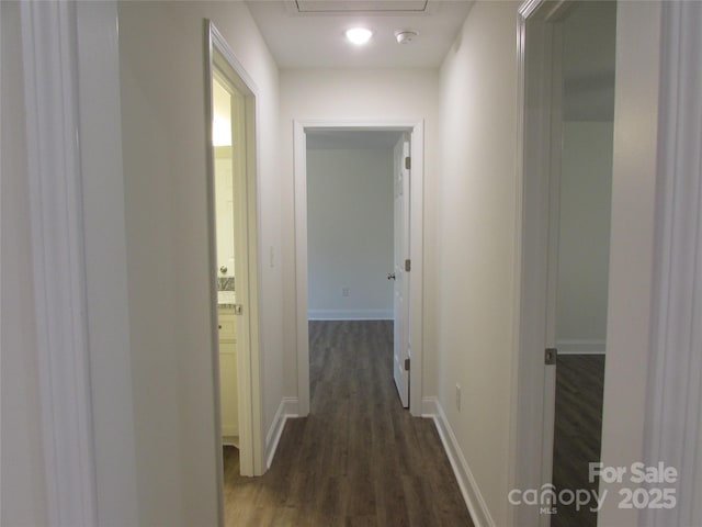 hall featuring dark wood-type flooring